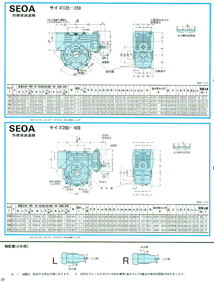 عٻSEOA